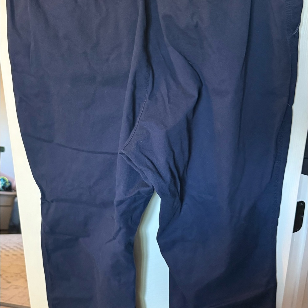 Old Navy Blue Ankle Cropped Pants